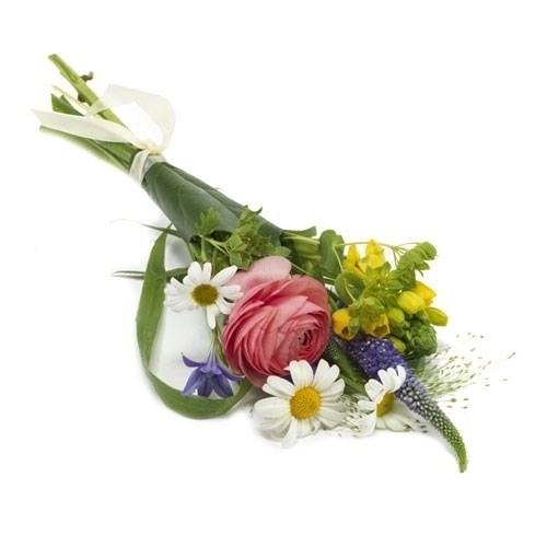 Bonderose, margurit, klokkeblomst