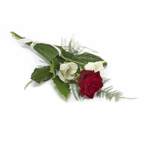 Rose, frecie